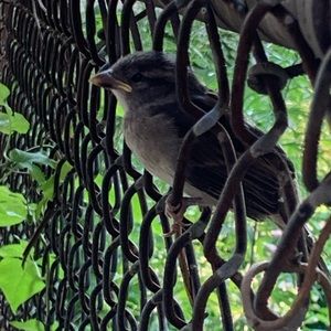 Meet your Posher, Kirsten